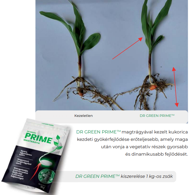 Dr. Green Prime (4 kg) - Image 3