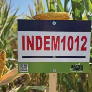 Saaten Union Indem1012 csávázott