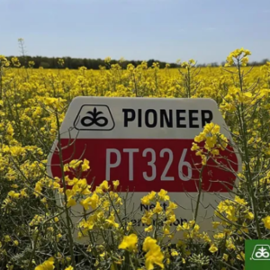 PT326 LumiGEN Insecticide csávázott