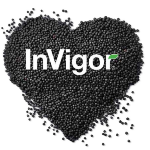 InV1170
